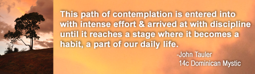 contemplation_quote_copy